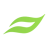 leaf leaf